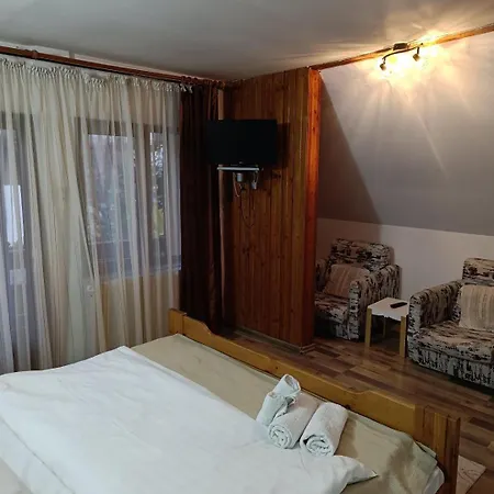 D&d Guest house Busteni